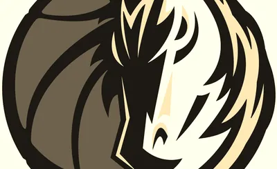 Dallas Mavericks