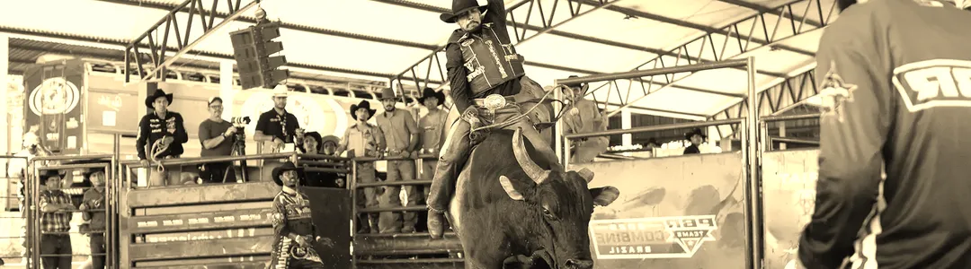 PBR Teams