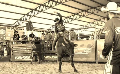 PBR Teams