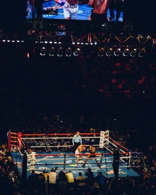 UFC Fight Night