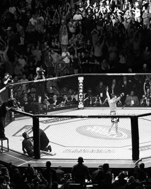 UFC Fight Night: du Plessis vs. Usman